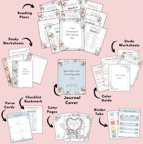 chronological bible reading plan pdf