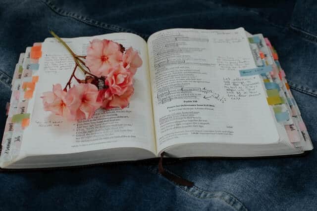 15 Bible Journaling Ideas to Enrich Your Bible Study