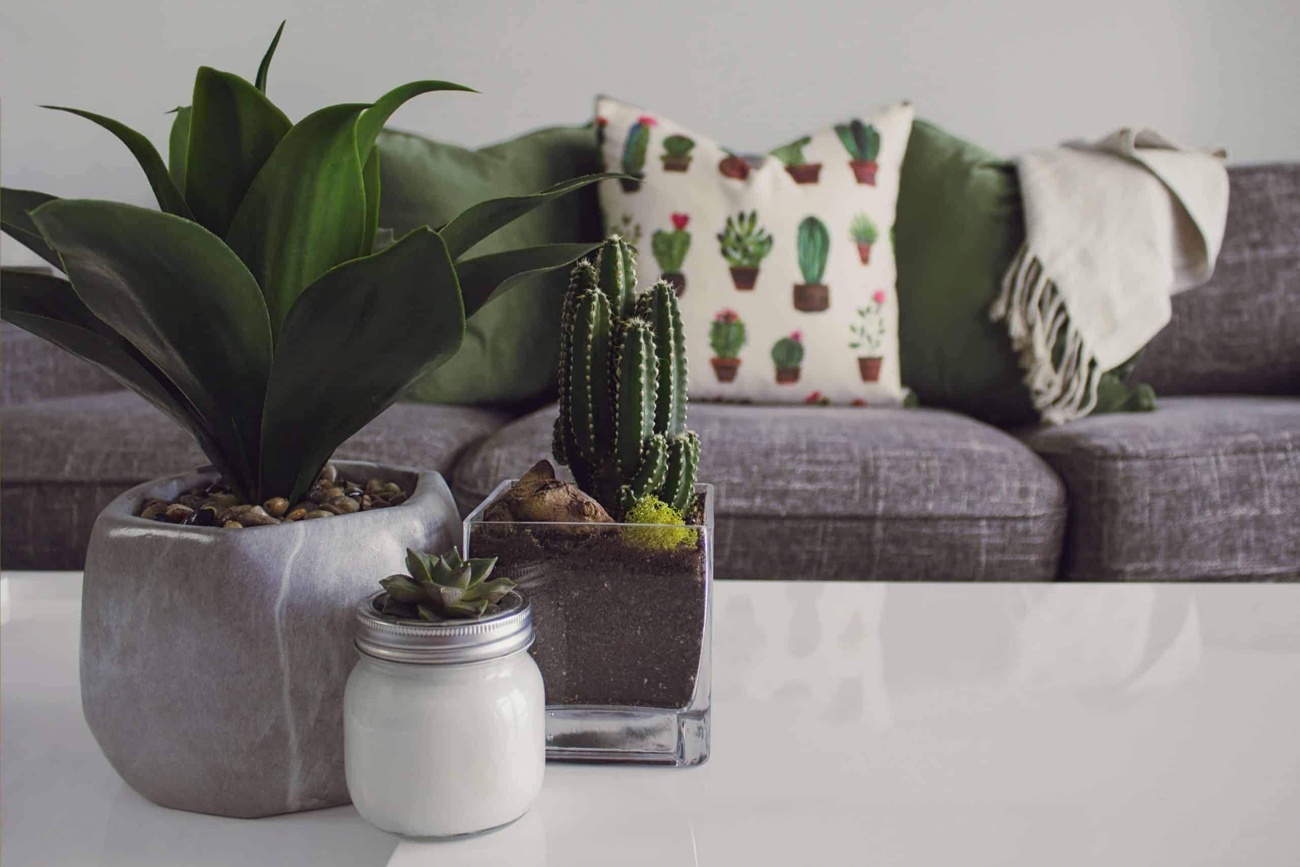 The Best Bible Verses For Home Decor