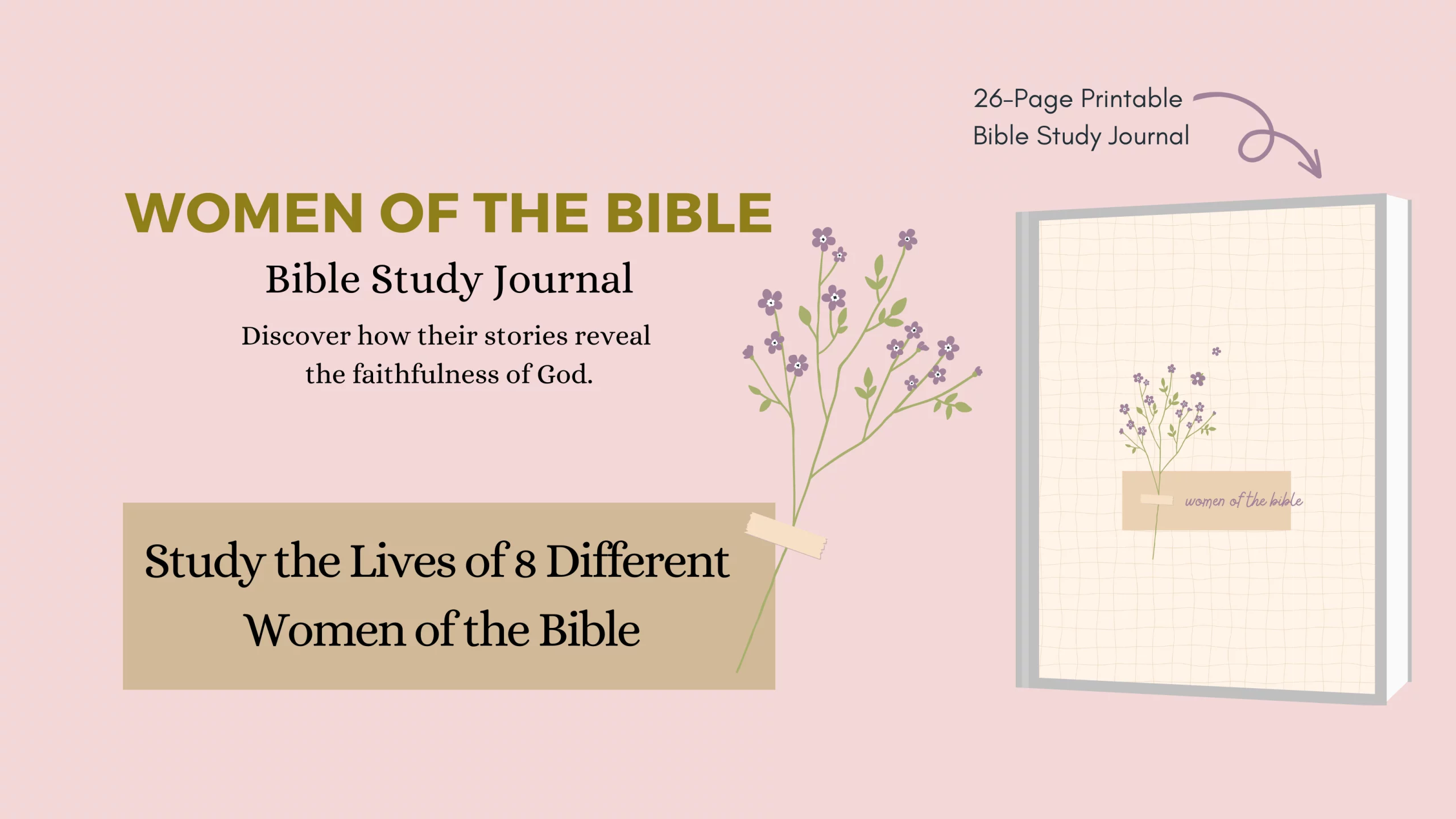 guided bible studies - women of the bible