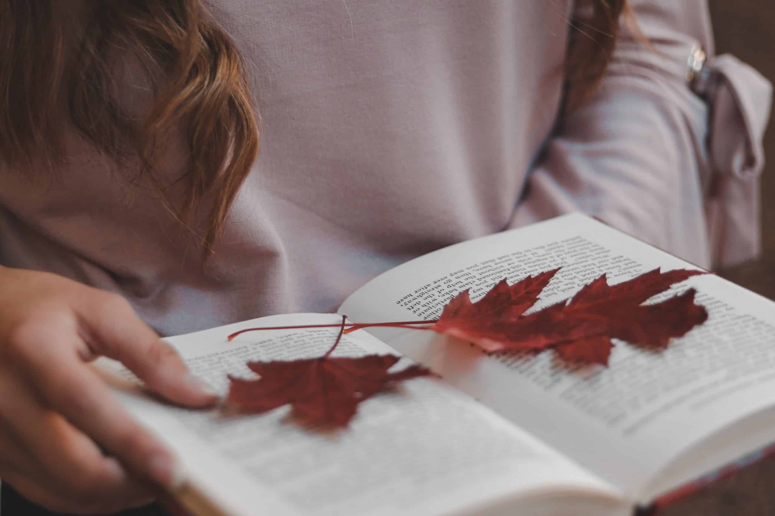 7 Beautiful Fall Bible Verses For Autumn