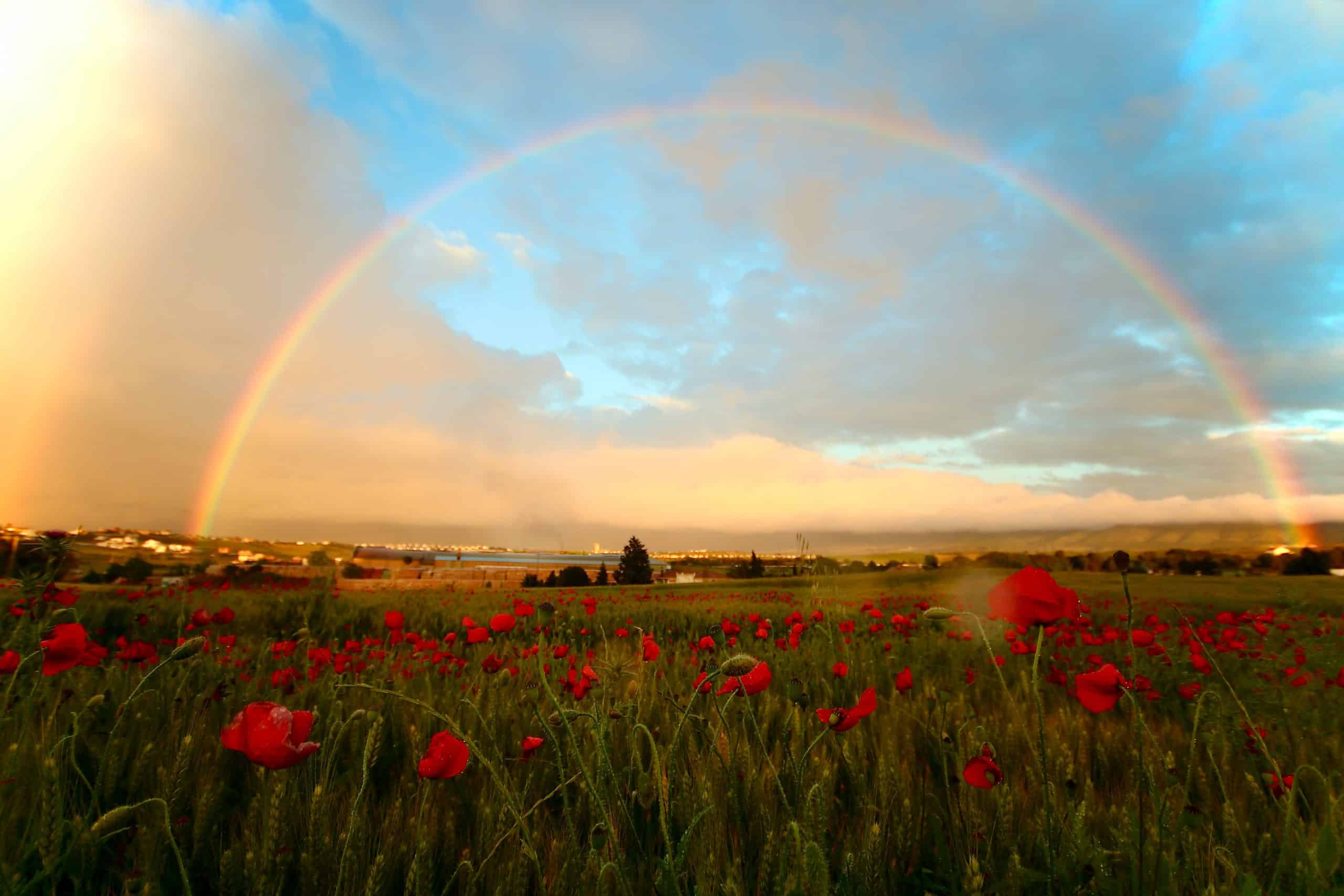 4 Beautiful Bible Verses About Rainbows