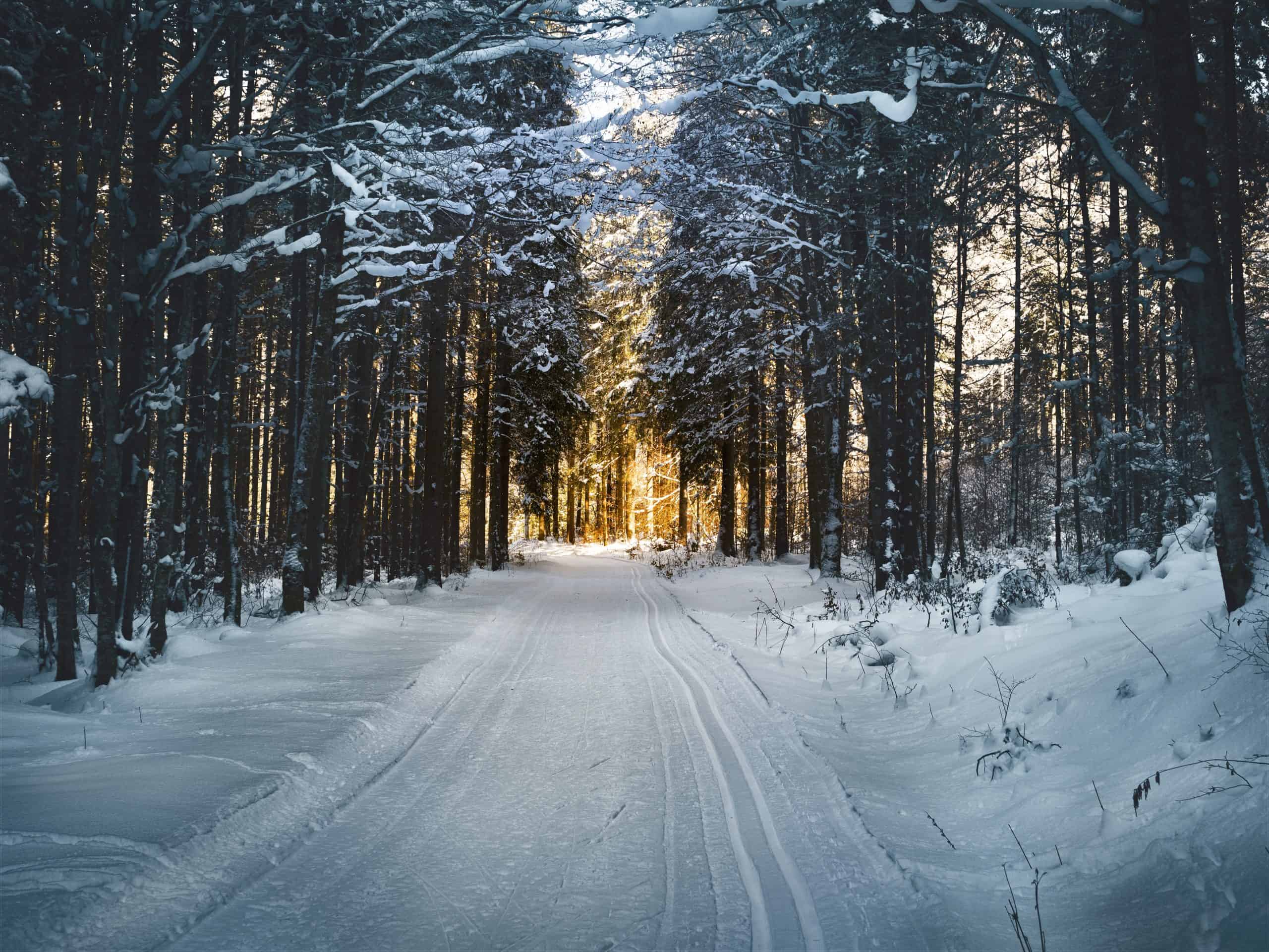 20 Fascinating Winter Bible Verses