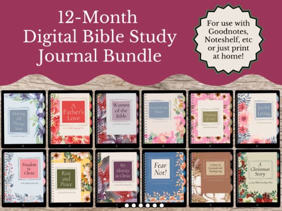 12 month digital bible reading plan