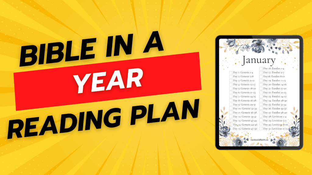 Bible in a year reading plan