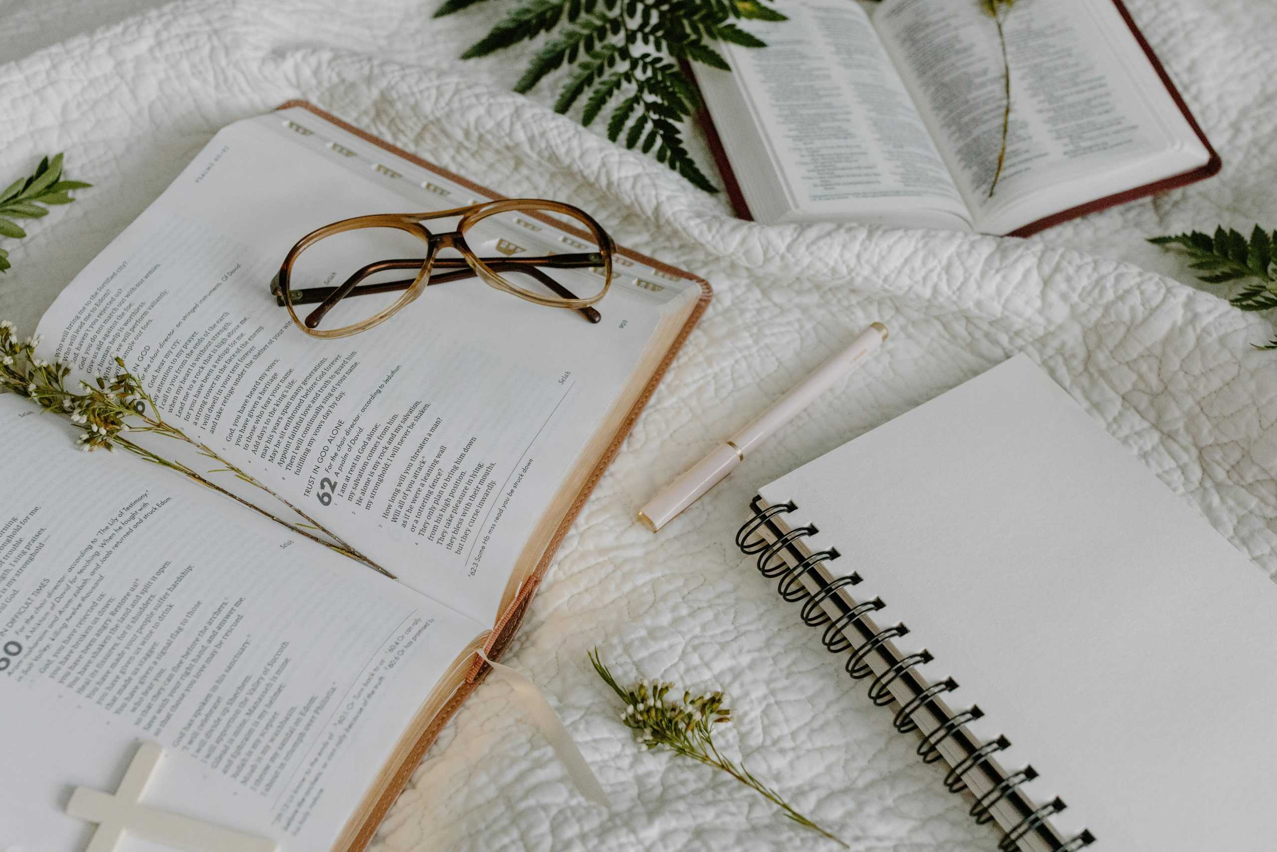 52 Week Bible in a Year Chronological Study Questions